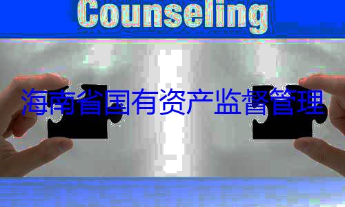 资产监督管委副书记王理委员会党海南省国有有福接受审查调查